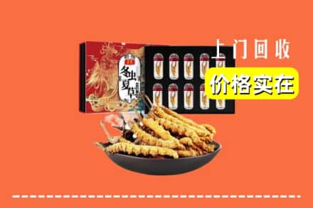 梁子湖区回收虫草
